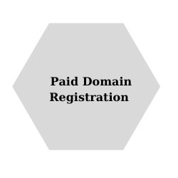 Paid Domain Registration