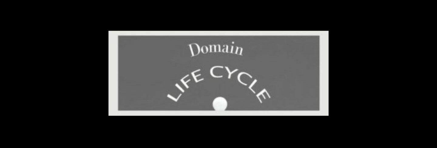 From First Click to Final Tick Navigating the Life Cycle of a Domain (5).
Black background, Light gray background, dark gray square inside.
Domain in white letters , slightly curved. 
LIFE  CYCLE while letters curving.
White ball a the bottom  
