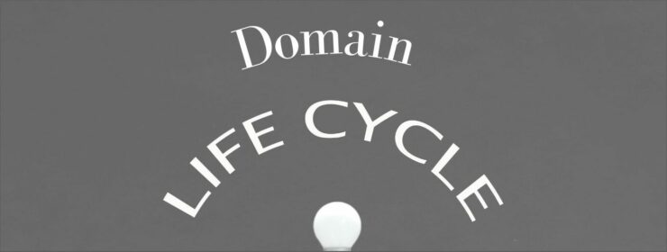 Life Cycle of a Domain. Dark gray background. Domain in white letters , slightly curved. LIFE CYCLE while letters curving White ball a the bottom