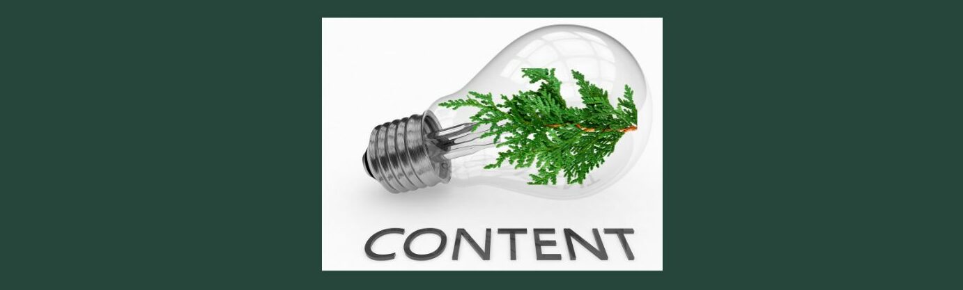 The Power of Evergreen Content in Affiliate Marketing (1).
Dark gray background. White square, clear light bulb, sprig of a evergreen tree in center. Silver ringed bottom
CONTENT in dark gray letters across the bottom.